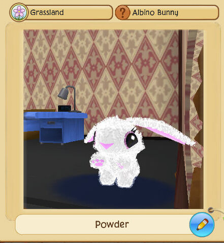 File:Albino1.jpg