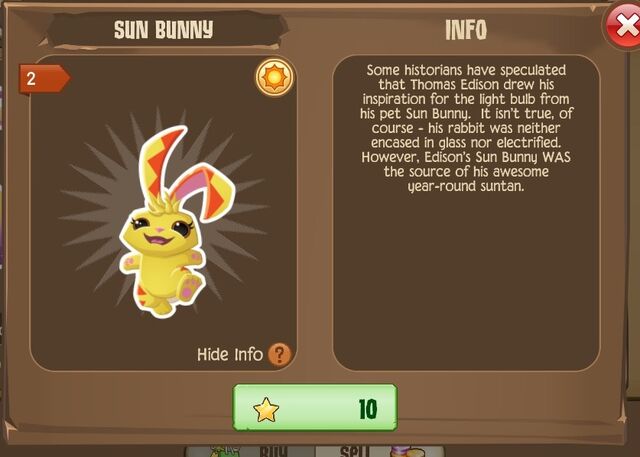 File:Sun Bunny 1 (Info).jpg