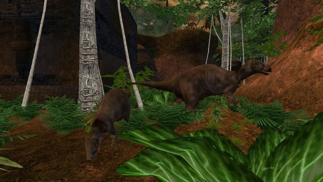 File:Animalia (17).jpg