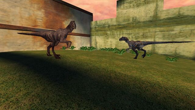 File:Animalia (18).jpg