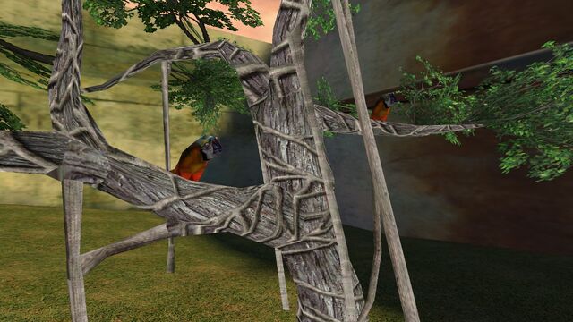 File:Zoo Animals (6).jpg
