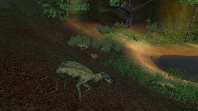 File:Animalia (4).jpg