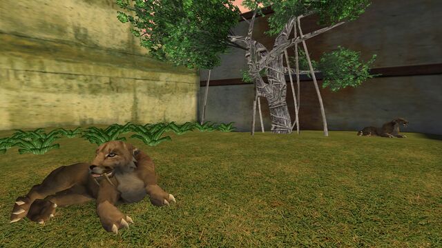 File:Animalia (51).jpg