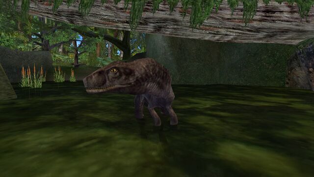 File:Animalia (648).jpg