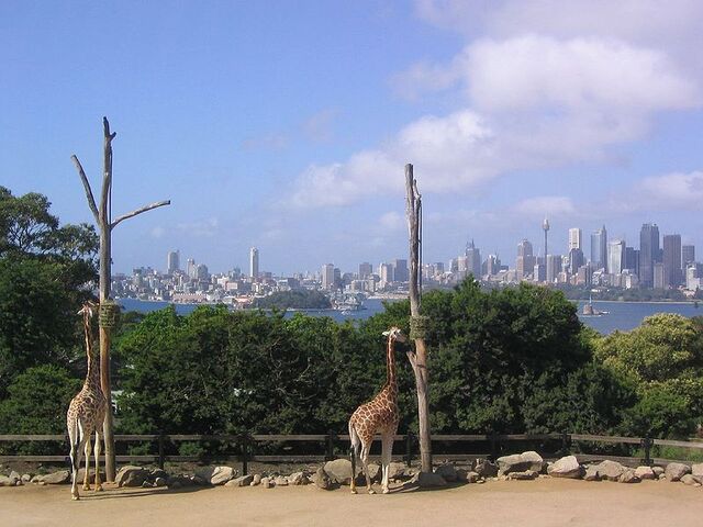 Plik:800px-Taroonga Zoo.jpg