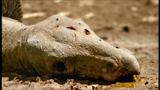 Deadsteg