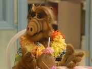 ALF 2x02 002