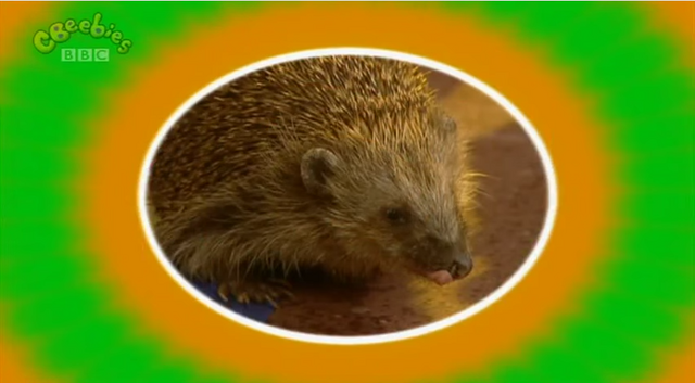 File:Prickly Fizz.png