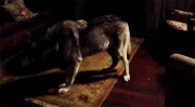 WereShifting