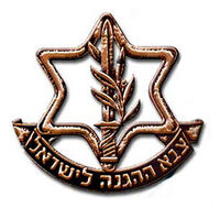 IDF insignia