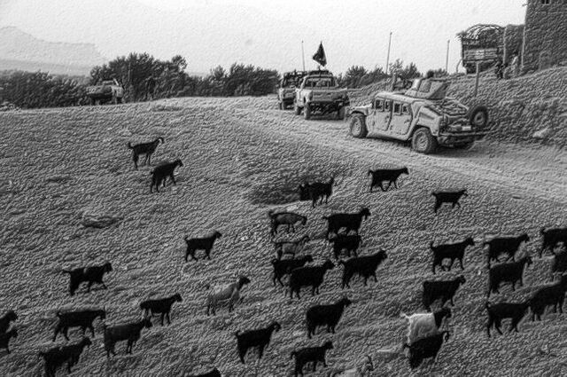 File:Goats and soldiers.jpg