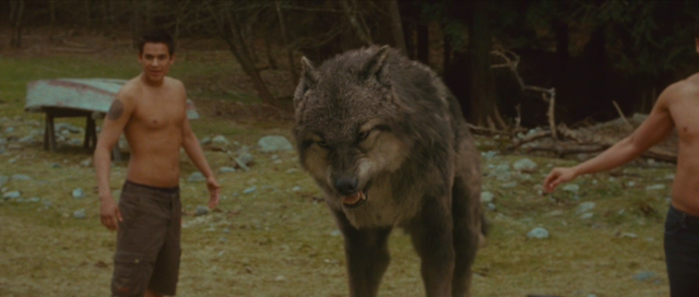 File:PaulWolf.png