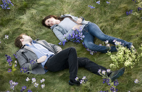 File:The meadow.jpg