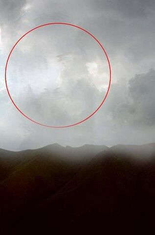 File:What can you see in this.jpg