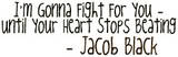 File:Th imgonnafightforyou.jpg