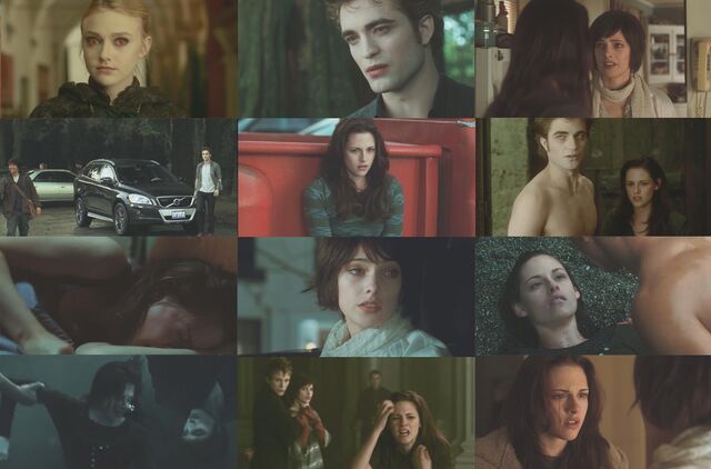 File:New moon 006.jpg