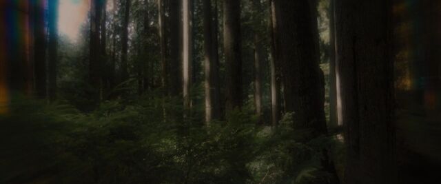 File:BreakingDawnPt1-3811.jpg