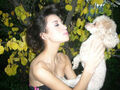 Thumbnail for version as of 21:53, January 29, 2011