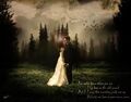 Thumbnail for version as of 13:41, March 3, 2011