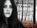 Thumbnail for version as of 00:31, January 15, 2011