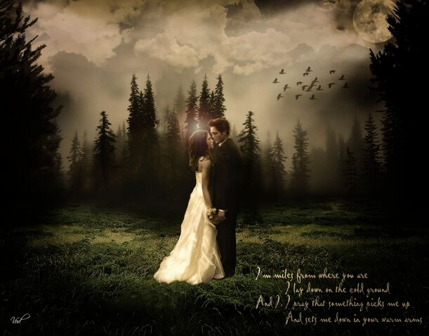 File:EdwardBellabreakingdawnmariage.jpg