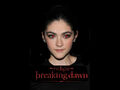 Thumbnail for version as of 01:21, September 5, 2012
