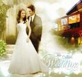 Thumbnail for version as of 15:27, July 26, 2011