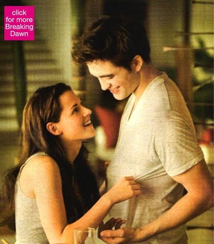 File:090611 breaking dawn teaser110906112730.jpeg