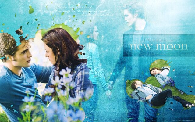 File:-Edward-Bella-Wallpaper-twilight-series-9317143-1920-1200.jpg