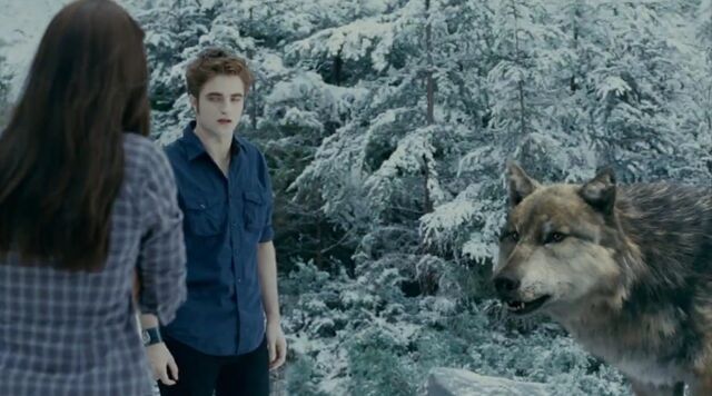 File:Seth-Wolf Edward Bella.jpg