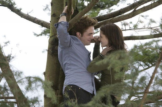 File:Twilight (film) 19.jpg