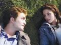 Thumbnail for version as of 13:55, March 16, 2013