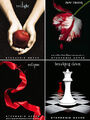 Thumbnail for version as of 01:17, September 16, 2010