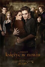 Film kwn.jpg