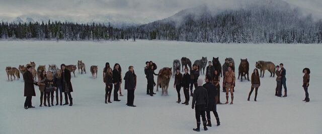 File:Cullens-witnesses-end.jpg