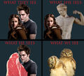 Thumbnail for version as of 03:18, August 15, 2011