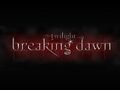 Thumbnail for version as of 00:21, January 15, 2011