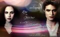 Thumbnail for version as of 00:28, December 28, 2011