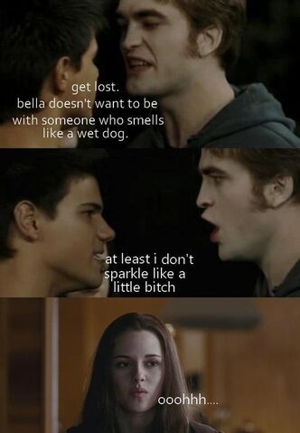 File:Funny-Twilight-Picture-random-13515177-550-794 (1).jpg