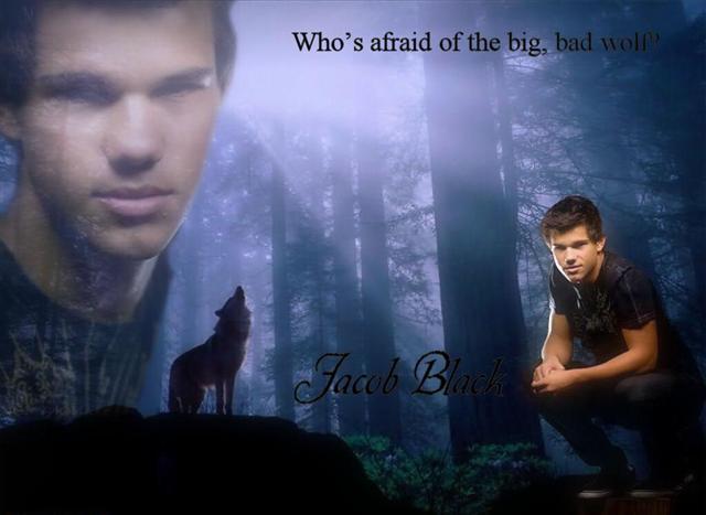 File:Jacob-Black-Desktop-1.jpeg