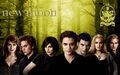 Thumbnail for version as of 16:16, November 3, 2011