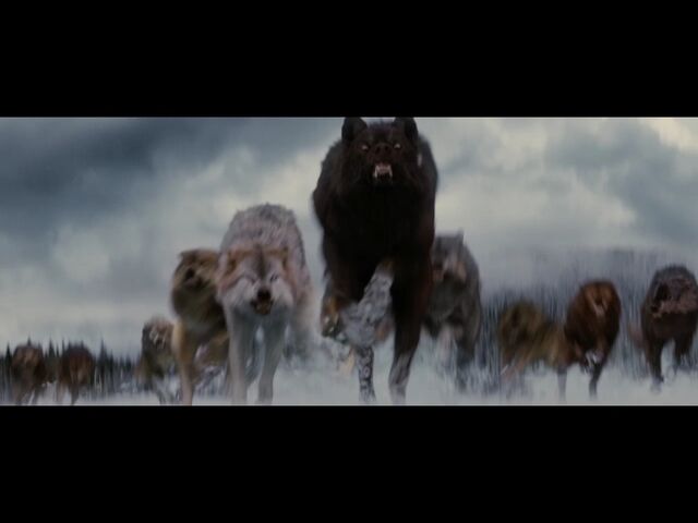 File:Sam leads charge.jpg