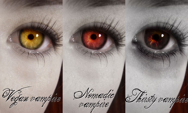 File:Our Eyes.jpg