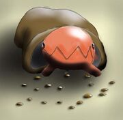 Trapinch1