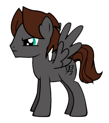 File:Pony-Ryder.png