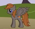 Thumbnail for version as of 19:59, January 28, 2012
