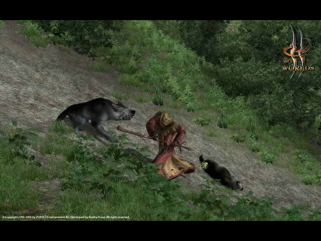 Файл:Wolves.jpg