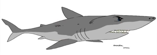 File:Ty shark.jpg
