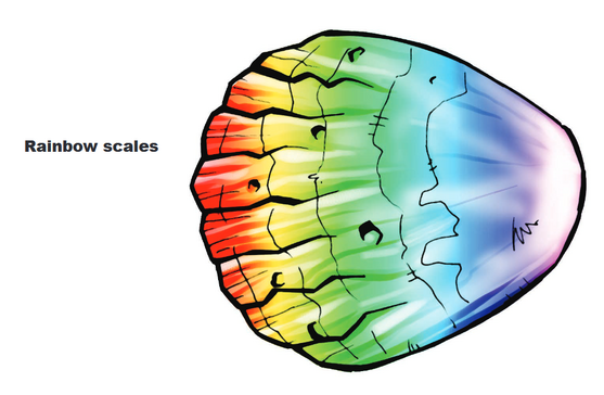 File:Rainbow scale.png