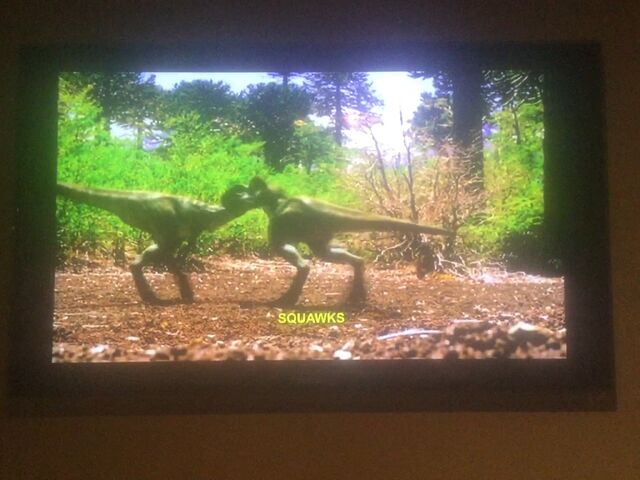 File:Dance Tyrannosaurus Chicks.jpg